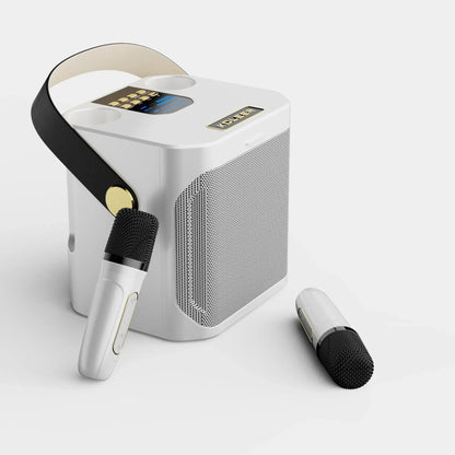 Portable Bluetooth Karaoke Speaker with Dual Microphones and 360 Sound