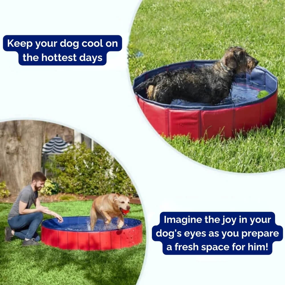Portable Foldable Dog Pool for Bathing and Play