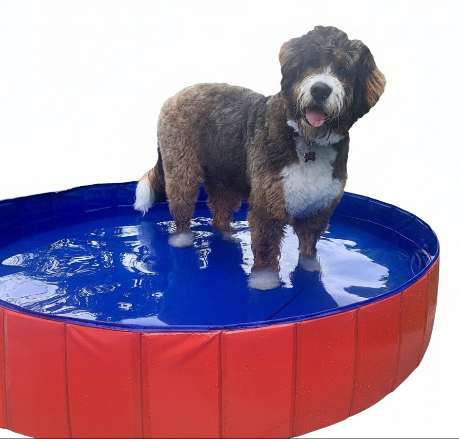Portable Foldable Dog Pool for Bathing and Play