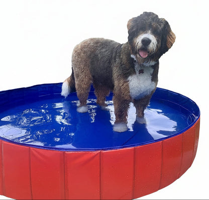 Portable Foldable Dog Pool for Bathing and Play
