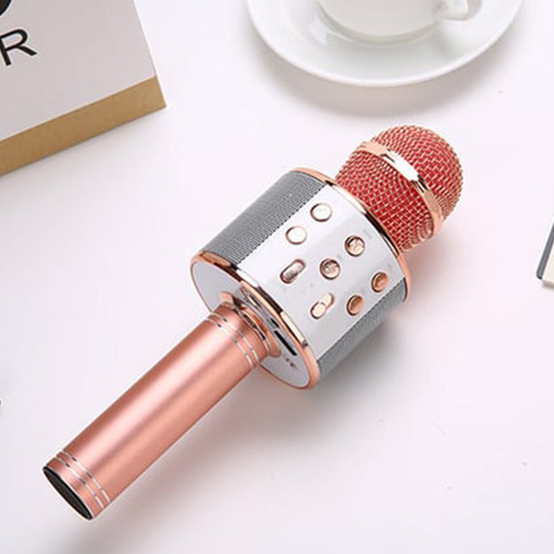Portable Wireless Bluetooth Karaoke Microphone Speaker