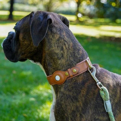 Premium Leather AirTag Holder Dog Collar Waterproof Pet Collar
