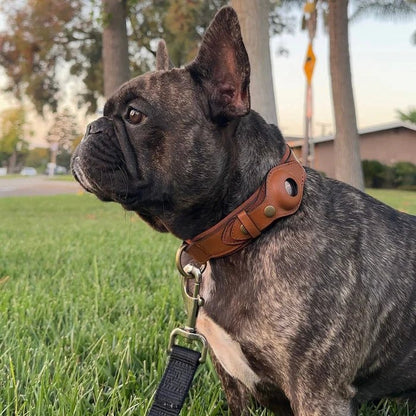 Premium Leather AirTag Holder Dog Collar Waterproof Pet Collar