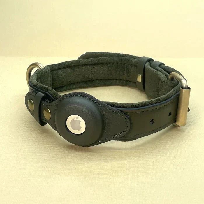 Premium Leather AirTag Holder Dog Collar Waterproof Pet Collar
