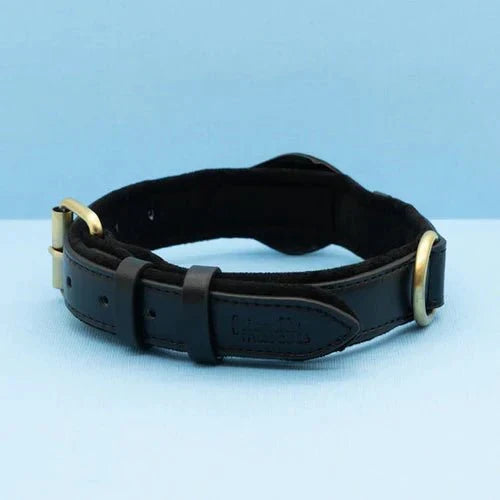 Premium Leather AirTag Holder Dog Collar Waterproof Pet Collar