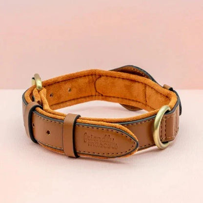 Premium Leather AirTag Holder Dog Collar Waterproof Pet Collar