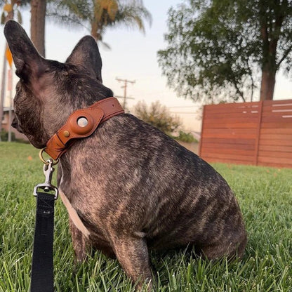 Premium Leather AirTag Holder Dog Collar Waterproof Pet Collar