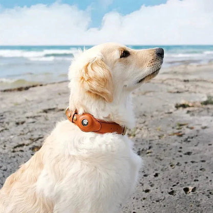 Premium Leather AirTag Holder Dog Collar Waterproof Pet Collar