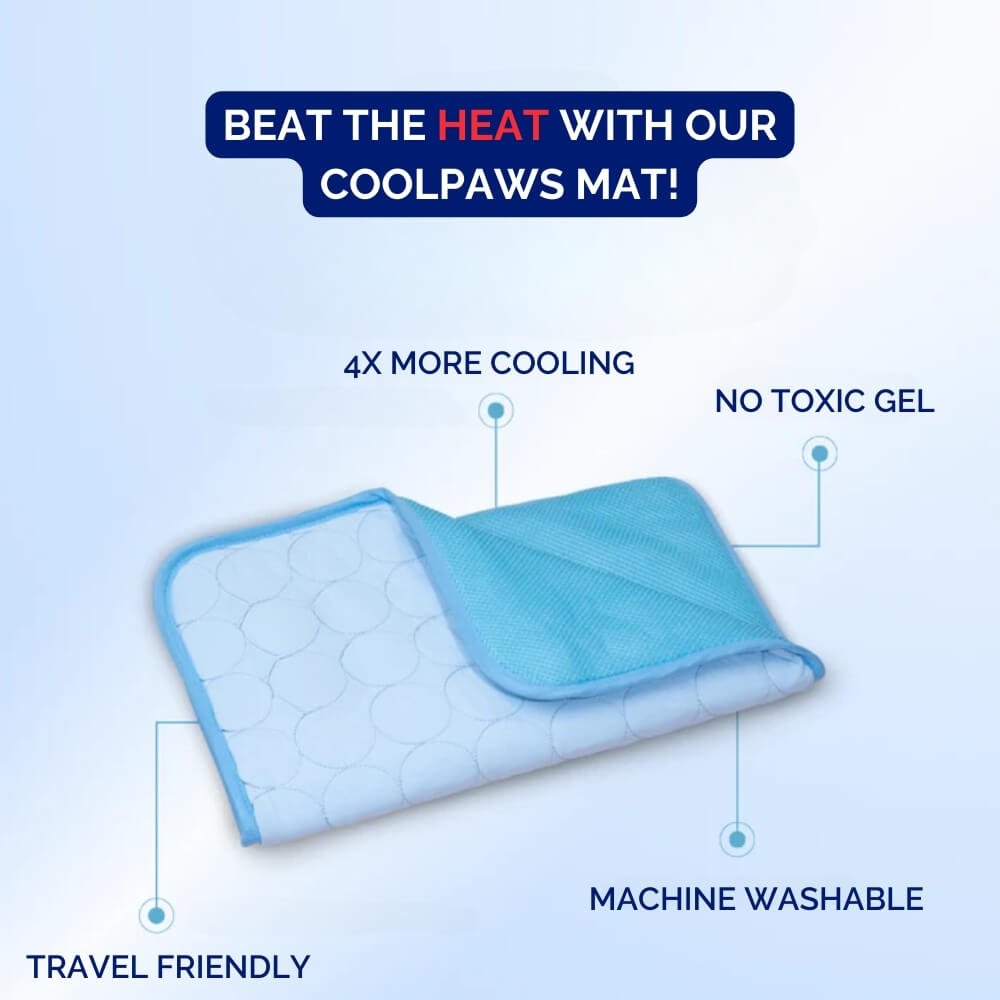 Pressure Activated Dog Cooling Mat