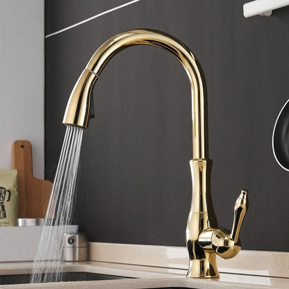 Pull-Out Stainless Steel Kitchen Mixer Faucet with 360° Swivel Spray Head