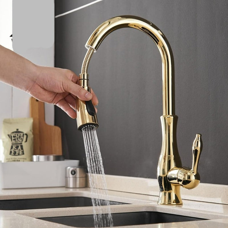 Pull-Out Stainless Steel Kitchen Mixer Faucet with 360° Swivel Spray Head