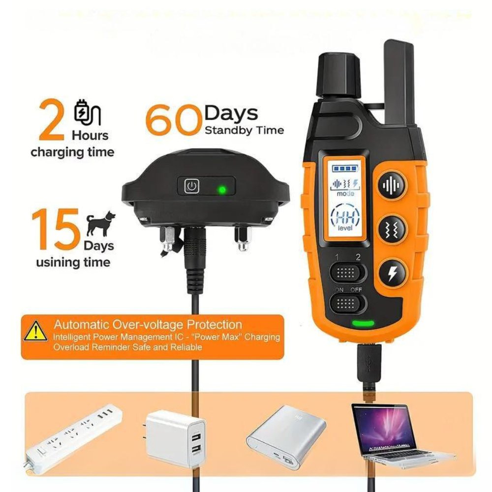 Rechargeable Waterproof Dog Training Collar with Remote