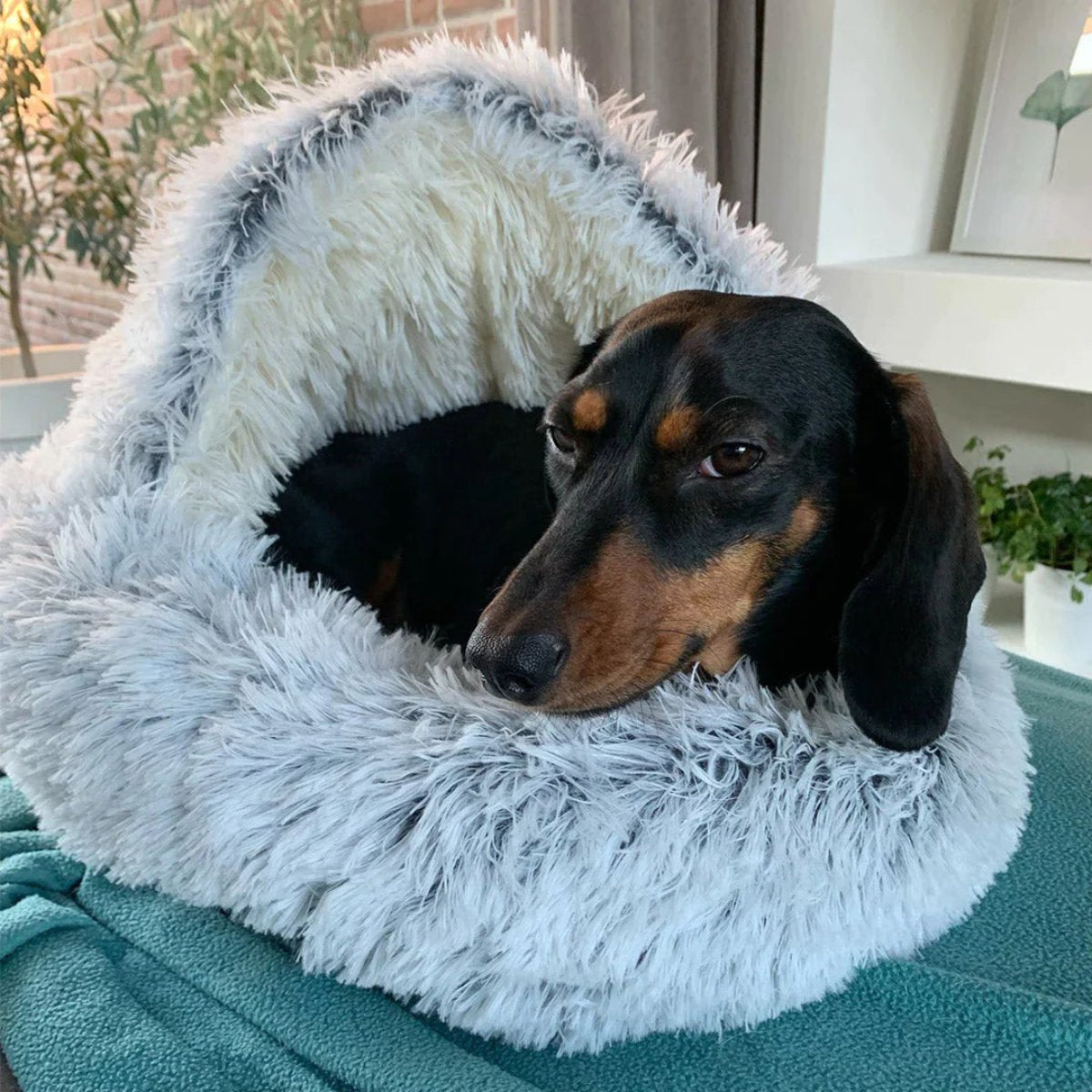 Round Cozy Cave Dog Bed with Soft Calming Cushion