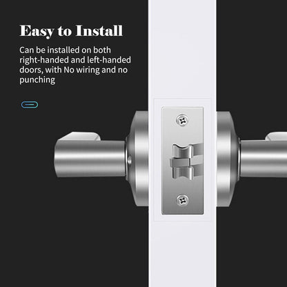 Smart Fingerprint Door Lever Lock With Key Access 30 Users