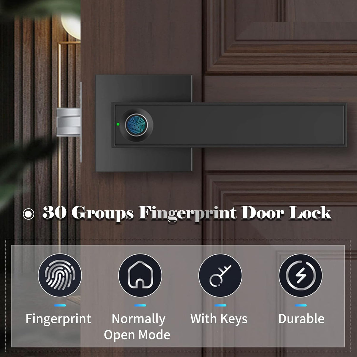 Smart Fingerprint Door Lever Lock With Key Access 30 Users