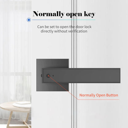 Smart Fingerprint Door Lever Lock With Key Access 30 Users