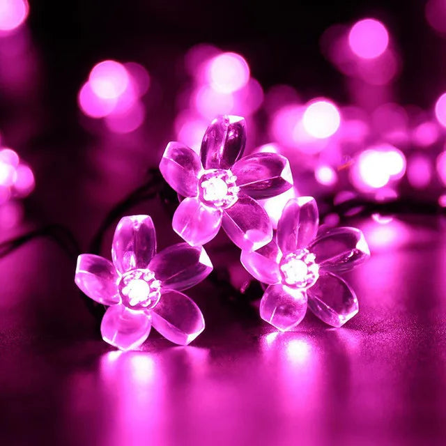 Solar LED String Lights for Garden and Patio