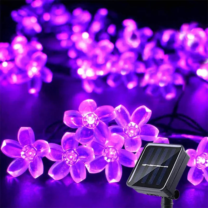 Solar LED String Lights for Garden and Patio
