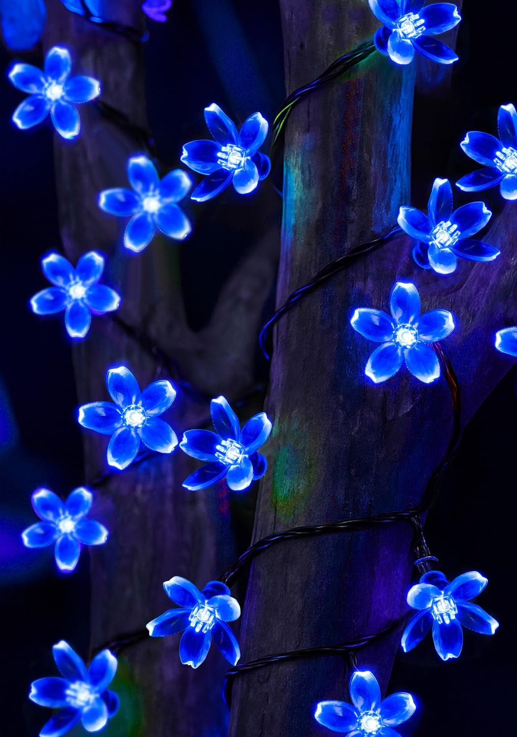 Solar LED String Lights for Garden and Patio