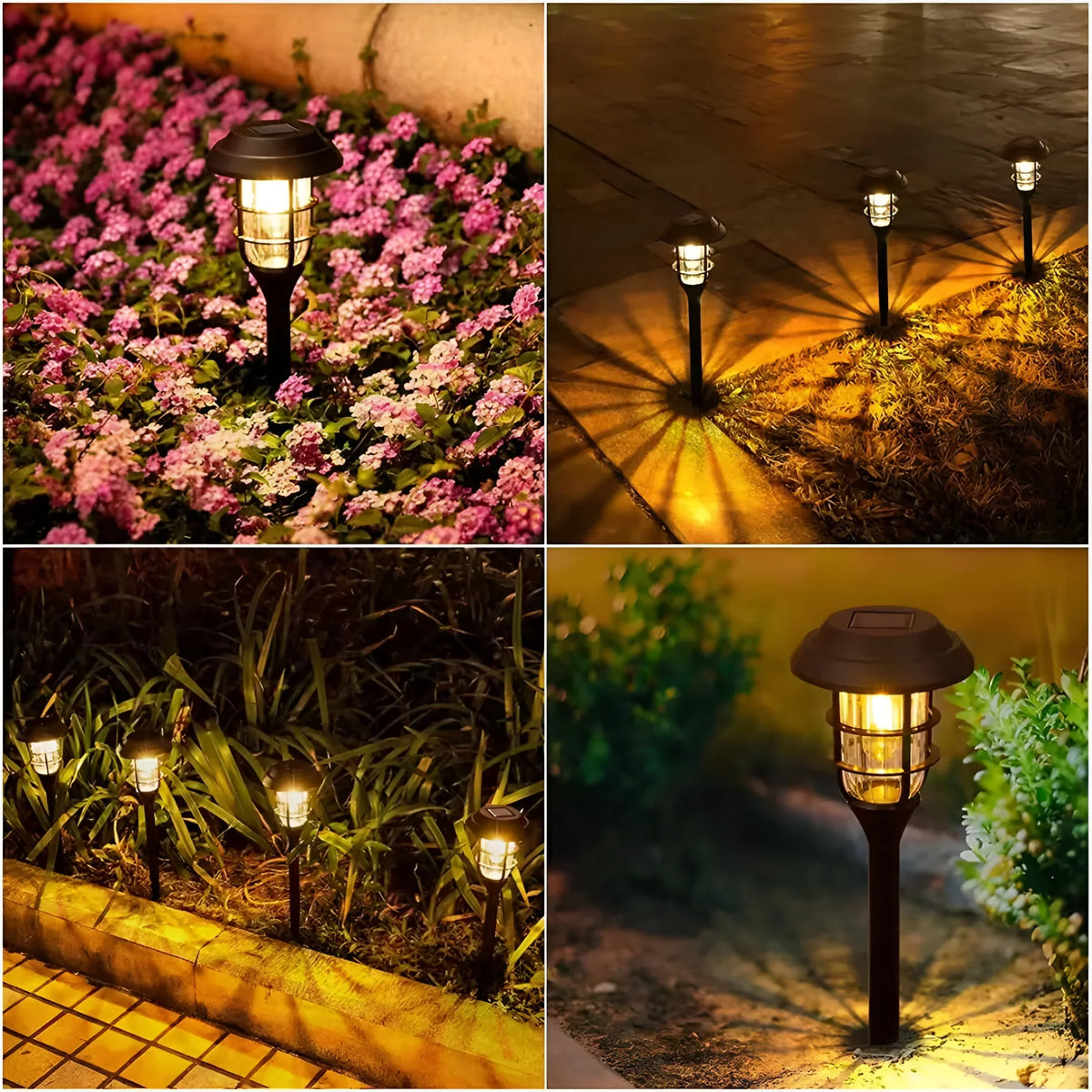 Solar Powered LED Garden Path Lights 6 Pack