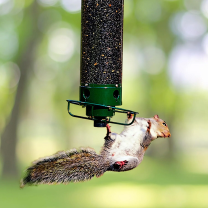 Squirrel Proof Hanging Bird Feeder for Outdoor Seed Feeding