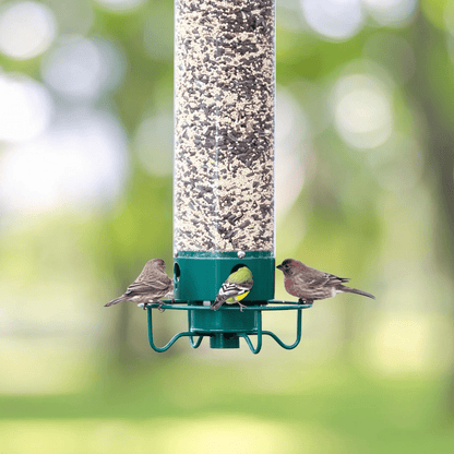 Squirrel Resistant Hanging Bird Feeder with Rotating Perch