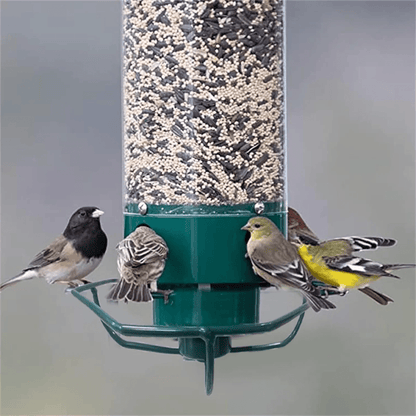 Squirrel Resistant Hanging Bird Feeder with Rotating Perch