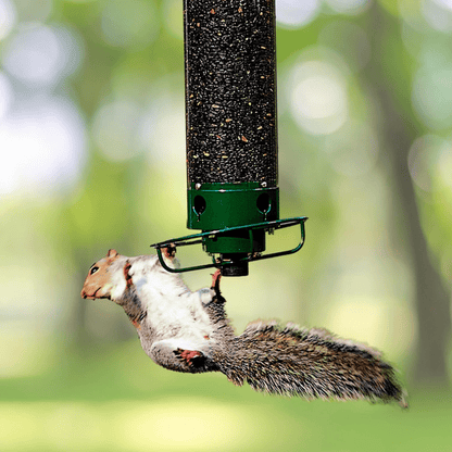 Squirrel Resistant Hanging Bird Feeder with Rotating Perch