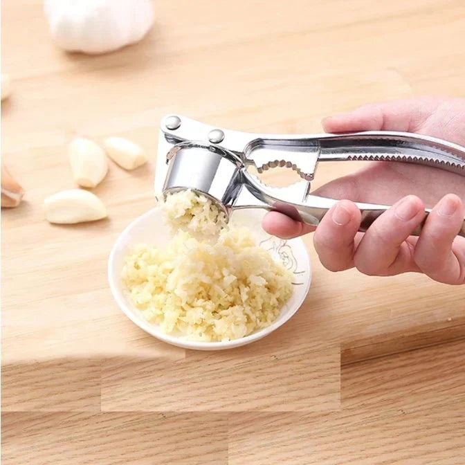 Stainless Steel Garlic Press with Ergonomic Handle