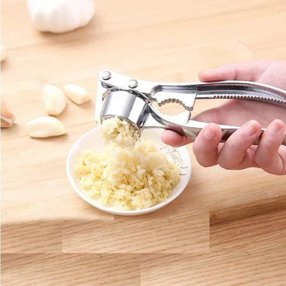 Stainless Steel Garlic Press with Ergonomic Handle