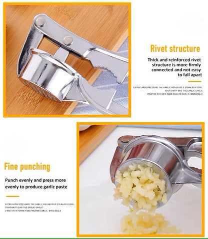 Stainless Steel Garlic Press with Ergonomic Handle