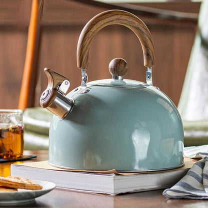 Stainless Steel Whistling Stovetop Kettle 3L Ergonomic Handle