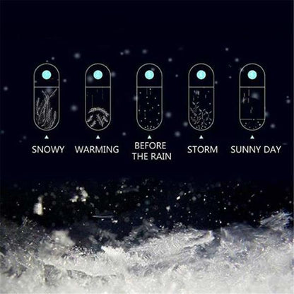 Storm Glass Weather Forecast Crystal Barometer with Wooden Base