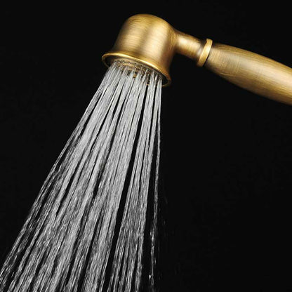Traditional Handheld Shower Head with Hose Wall Mounted Metal Shower Head