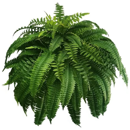 UV Resistant Artificial Boston Fern Outdoor Greenery
