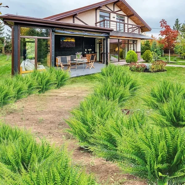 UV Resistant Artificial Boston Fern Outdoor Greenery