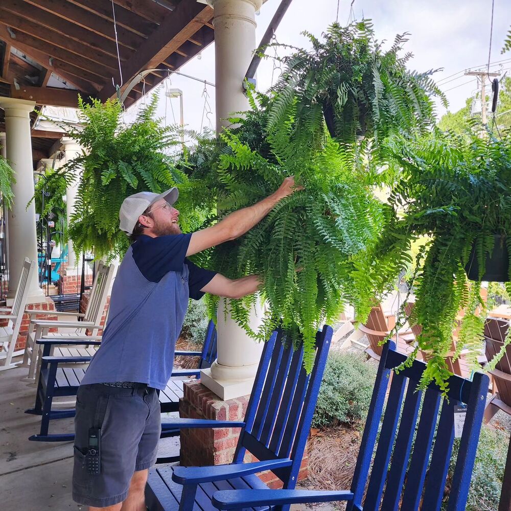 UV Resistant Artificial Boston Fern Outdoor Greenery