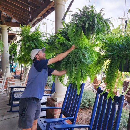 UV Resistant Artificial Boston Fern Outdoor Greenery