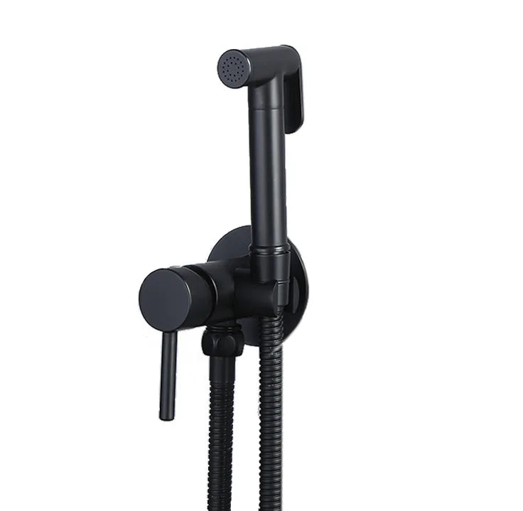 Wall Mounted Bidet Spray Faucet Set Hot Cold Water Mixer
