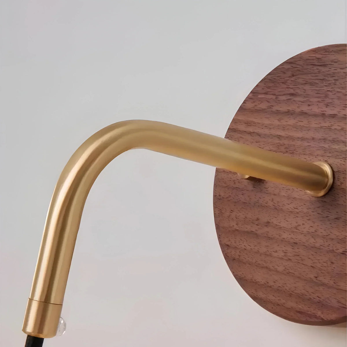 Walnut Wood Brass Wall Light with Gradient Glass
