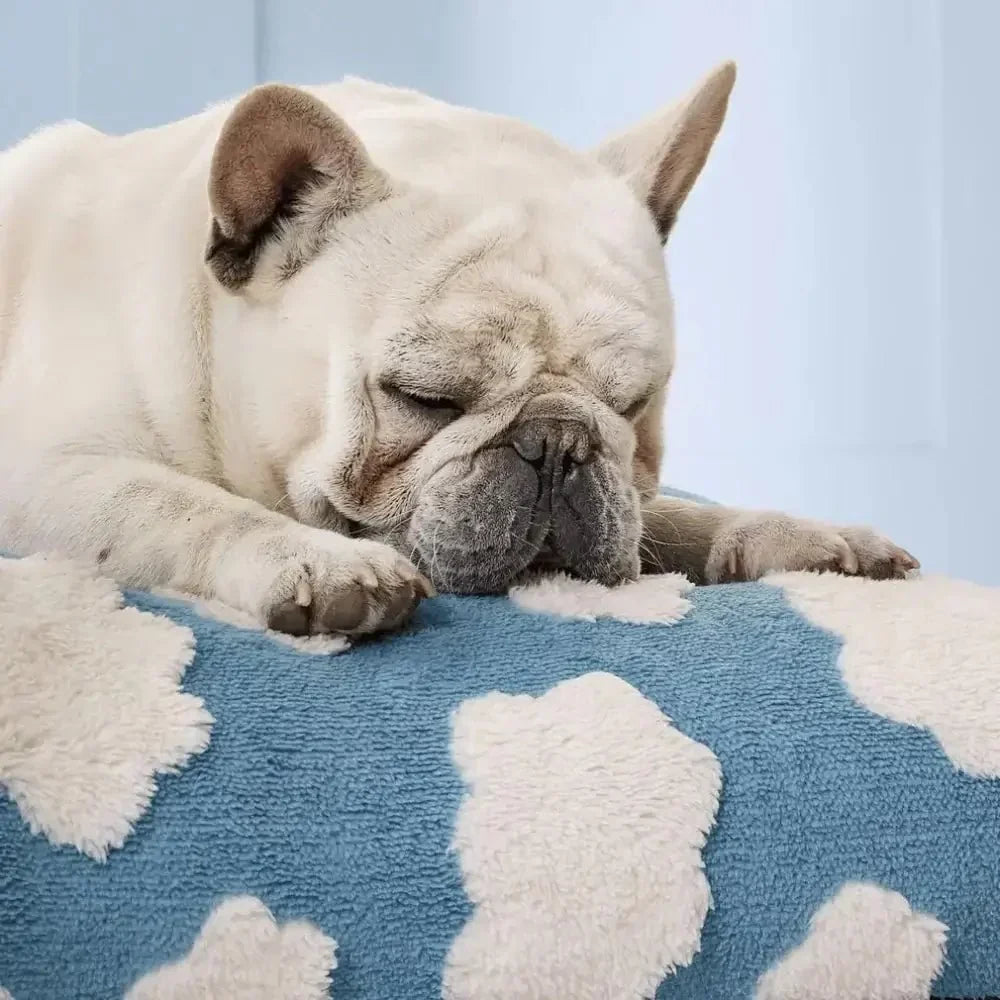 Waterproof Dog Bed with Removable Washable Cover