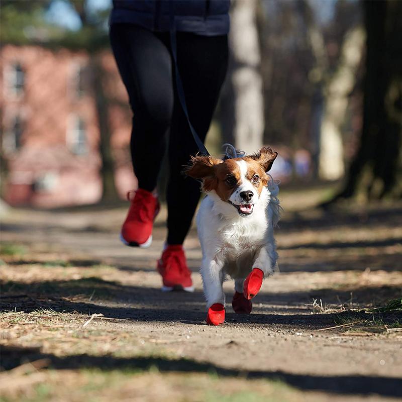 Waterproof Dog Boots with Non Slip Grip