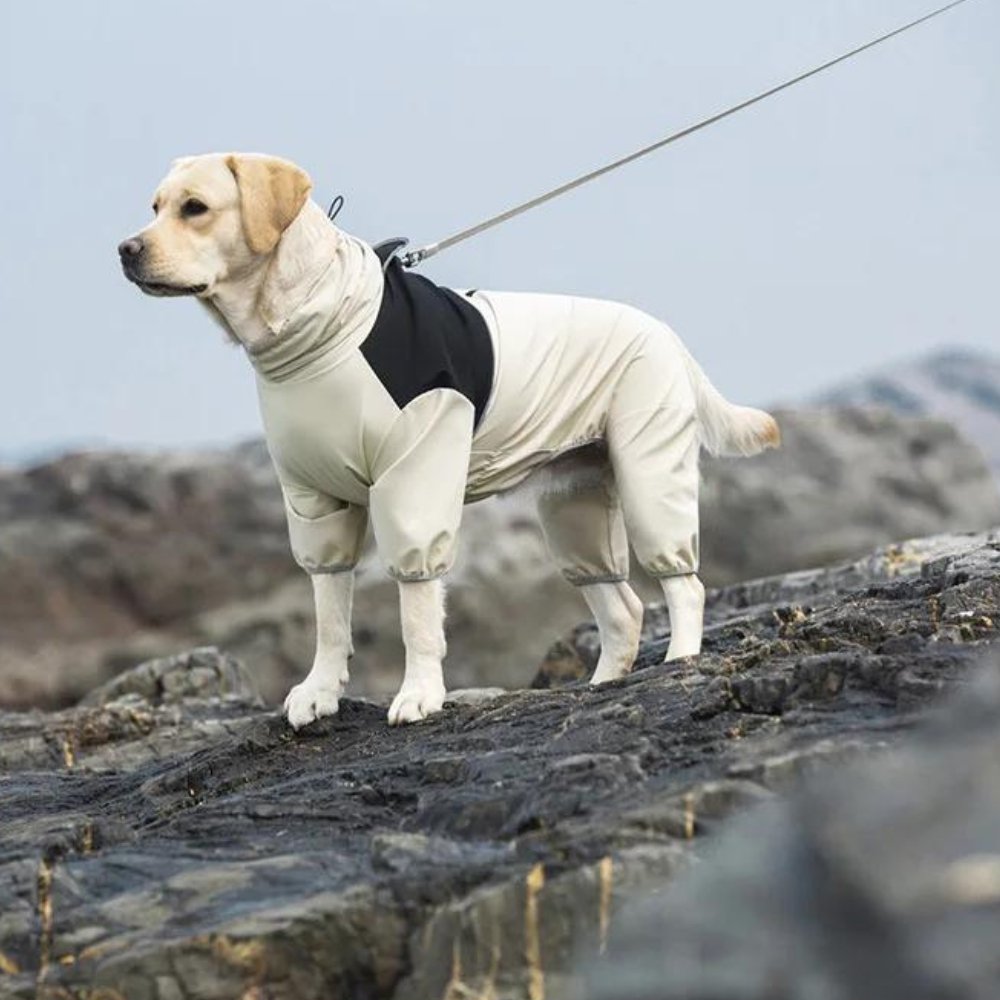Waterproof Dog Rain Suit Full Coverage Pet Raincoat
