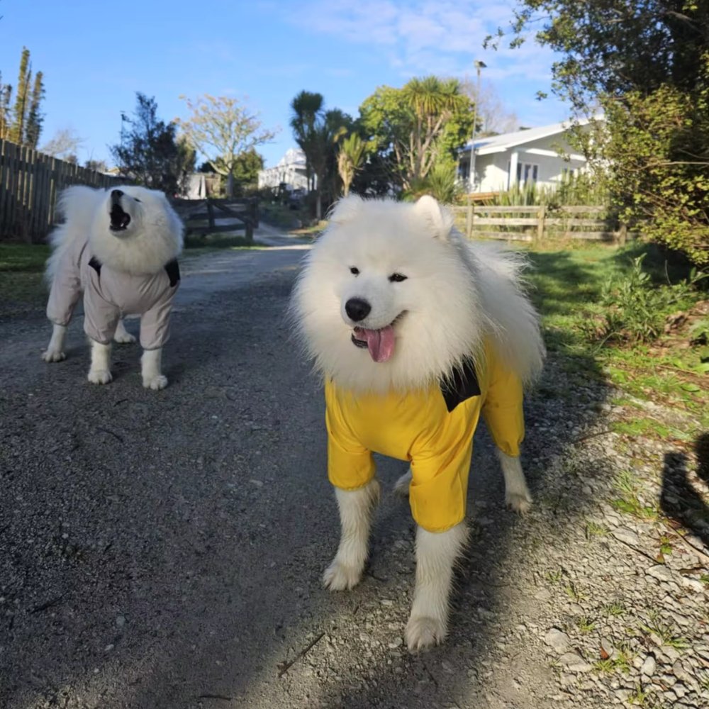 Waterproof Dog Rain Suit Full Coverage Pet Raincoat