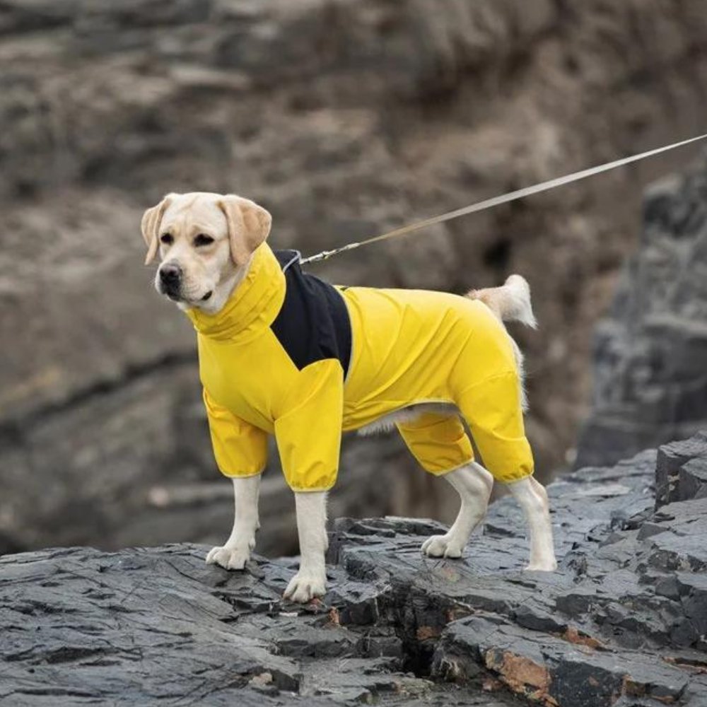 Waterproof Dog Rain Suit Full Coverage Pet Raincoat