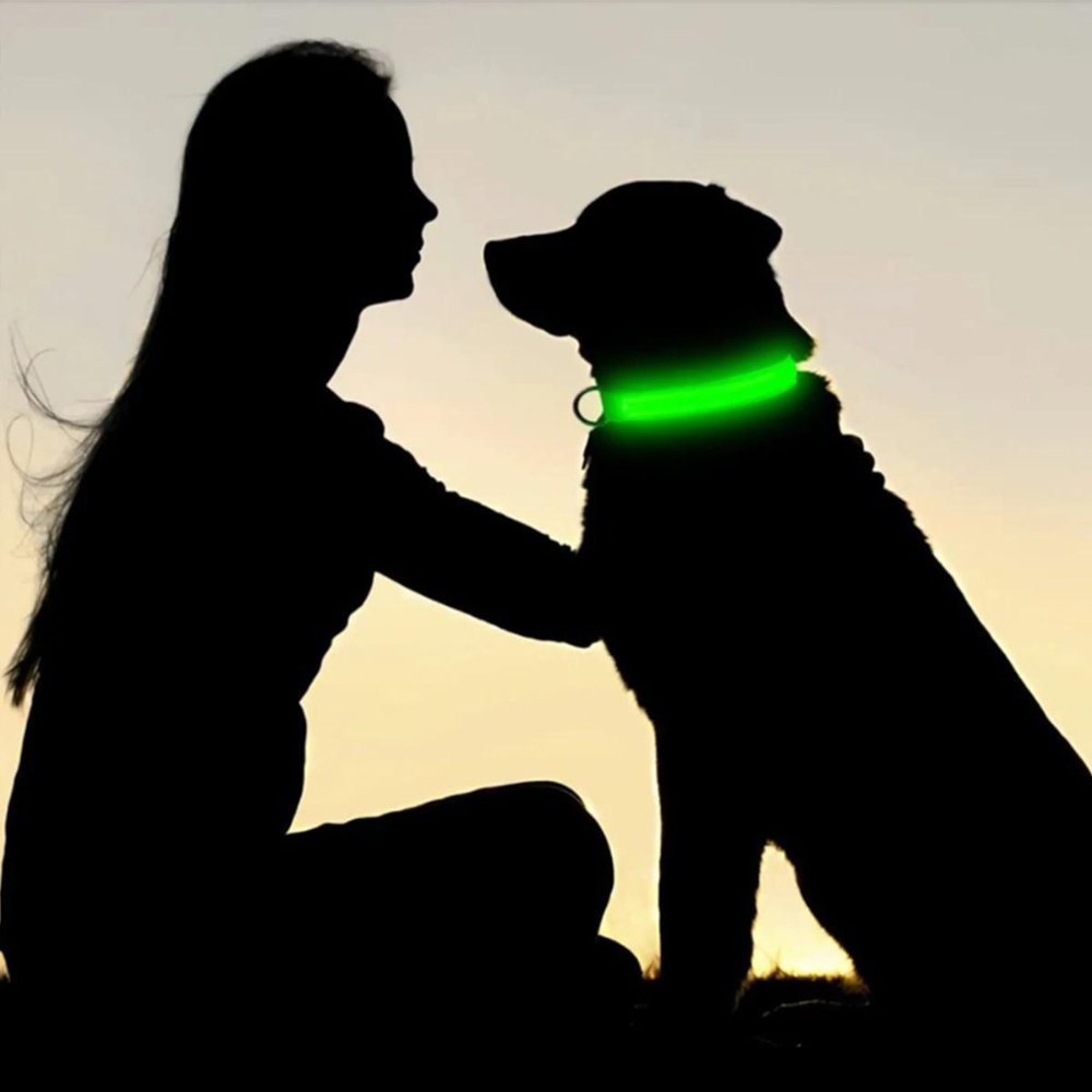 Waterproof LED Dog Collar with AirTag Holder