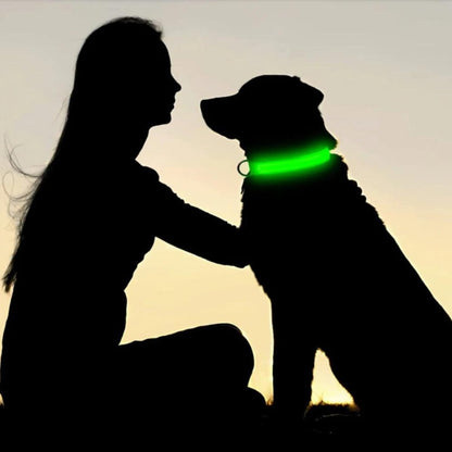 Waterproof LED Dog Collar with AirTag Holder
