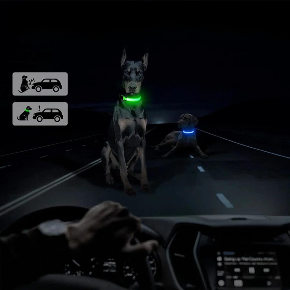 Waterproof LED Dog Collar with AirTag Holder