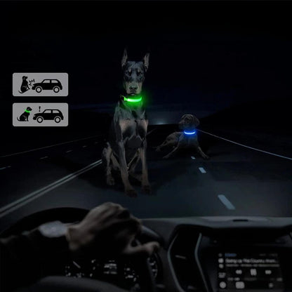 Waterproof LED Dog Collar with AirTag Holder