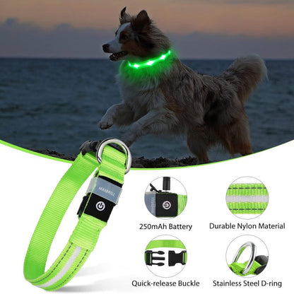 Waterproof LED Dog Collar with AirTag Holder